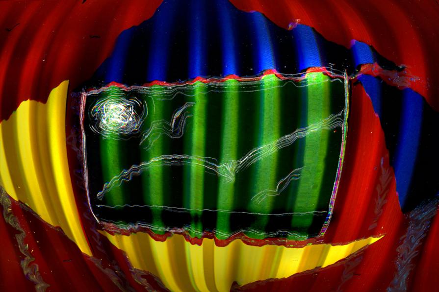 in viaggio con Bill.