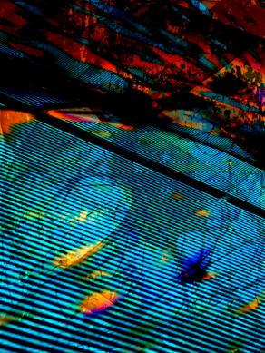 Life is an experience 