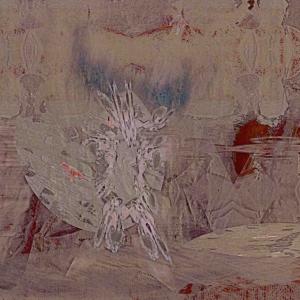 Butterfly Room Butterfly Room