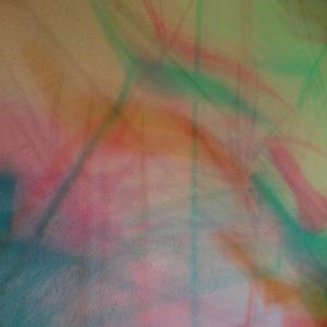 I colori della biodiversità -2015