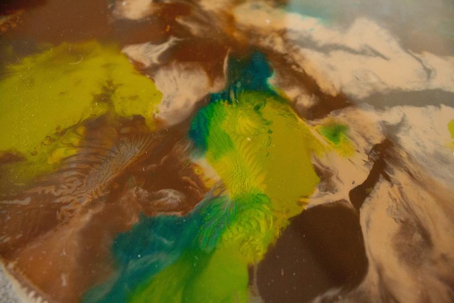 Terra|Macchia Vegetale|Particolare