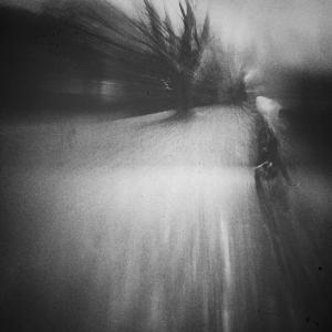 I met you again in my dreams