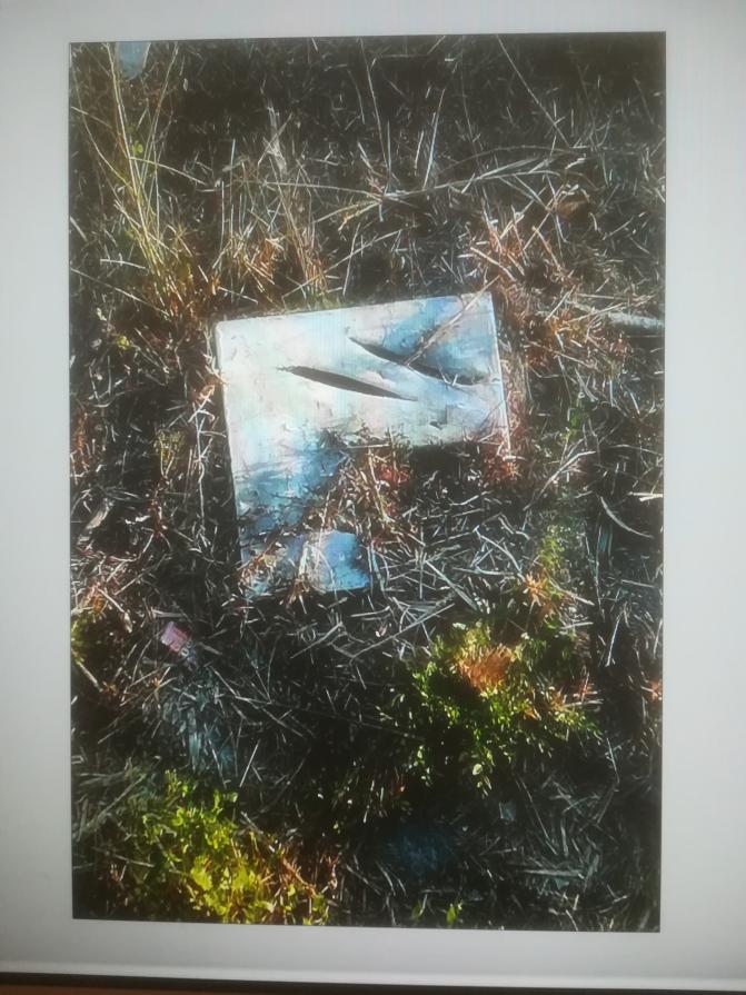 C'era Lucio nel letto del fiume La Parma. 