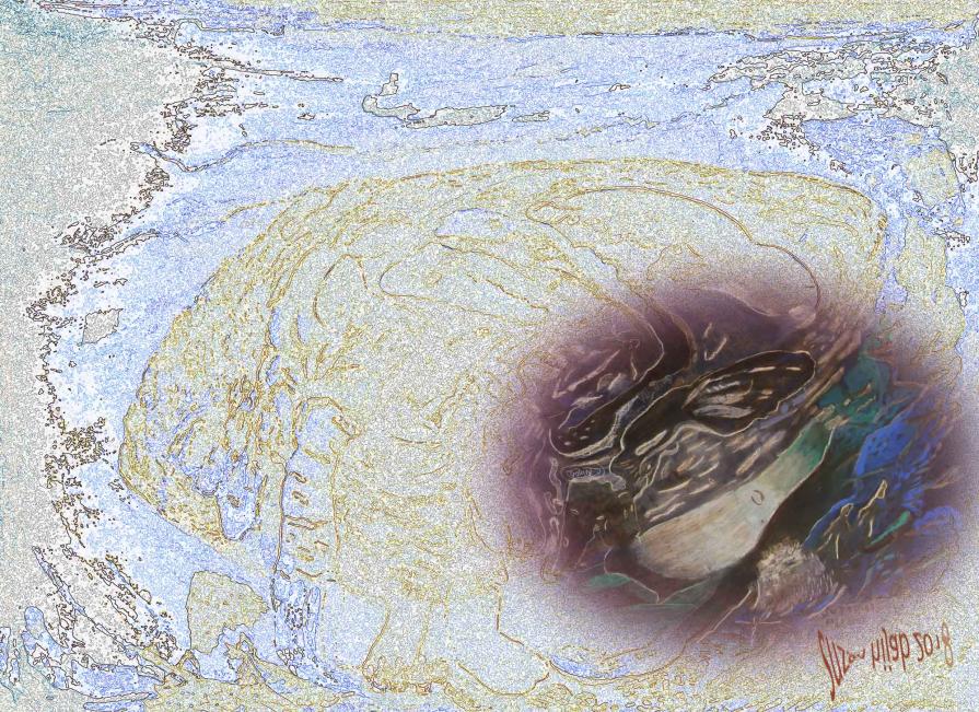 Jerusalem " Jaffa Tor"a9