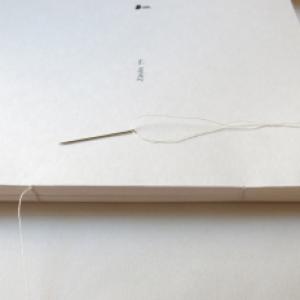 Letizia Ardillo e Yarona Pinhas -Visioni- Letizia Ardillo e Yarona Pinhas -Visioni-