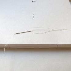 Letizia Ardillo e Yarona Pinhas -Visioni-