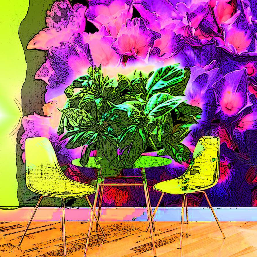 Il mio basilico mi saluta mandandomi il suo straordinario profumo...!!!