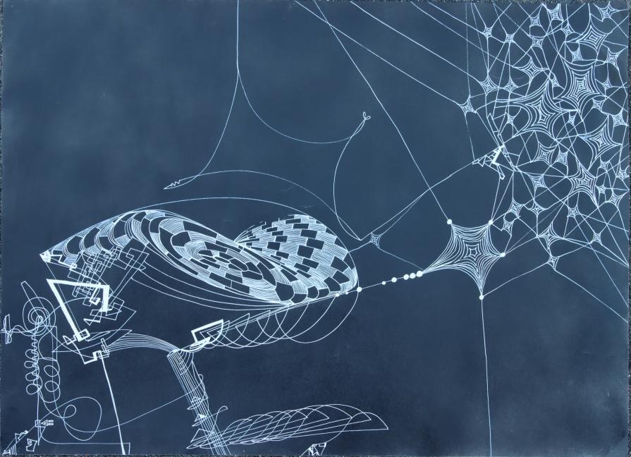 spider -web drawing no2