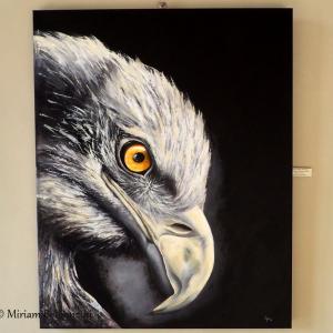 ARS MUTINENSIS 12 modenesi in mostra 