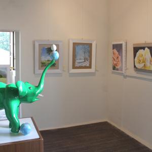 Altra Natura a Revere (mn)