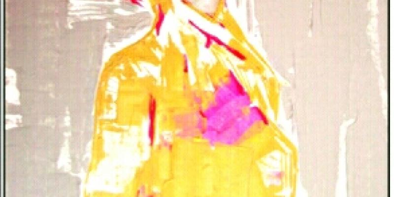 30 MAGGIO - LIBERTA' DI ESPRESSIONE 30 MAGGIO - LIBERTA' DI ESPRESSIONE