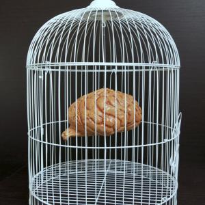 Soqquadro partecipa a CATS