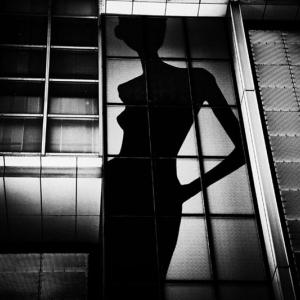 Exposition d'art - Lectoure 2018  - Exposition internationale de photographies et de sculptures 