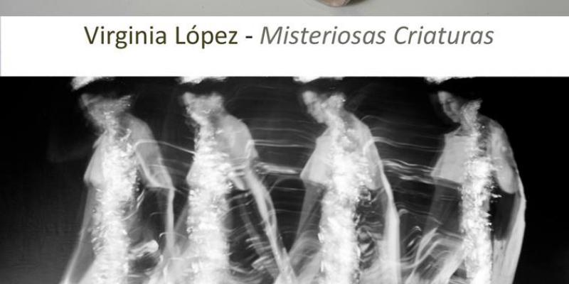 Misteriosas Criaturas