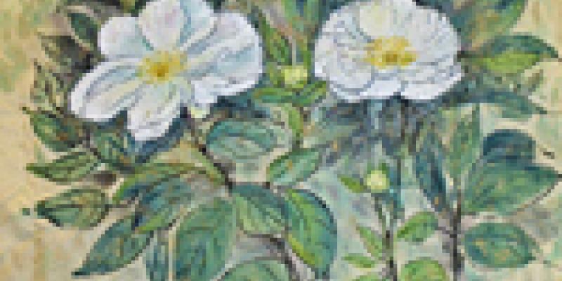 Call for Entries – 5th Annual “Botanicals” Online Art Competition 