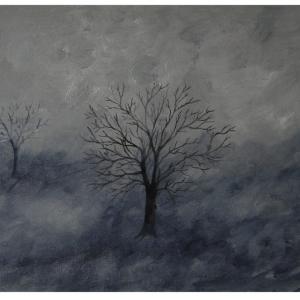 LUCI, COLORI ED EMOZIONI