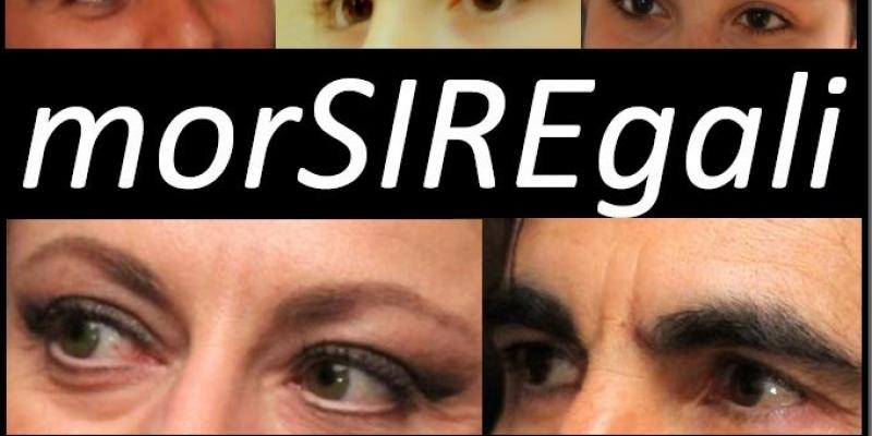 Morsi regali Morsi regali