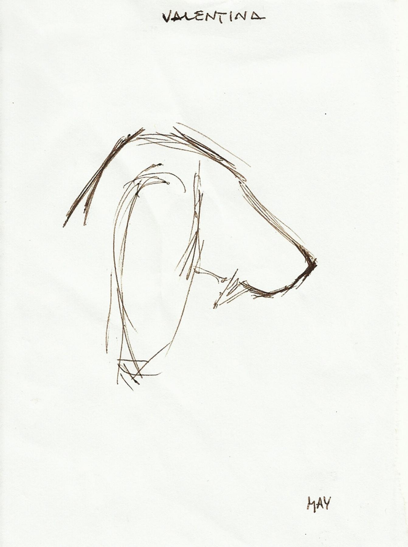 SHORT | DISEGNO ZEN SHORT | DISEGNO ZEN