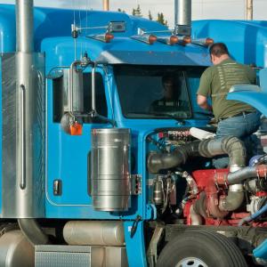 USA. Alaska 1/3. Forme di vita