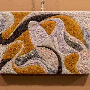 FOTO-GRAFICA AL CLUB MERIDIANA