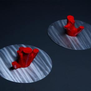 "Viveva solo per crescere"