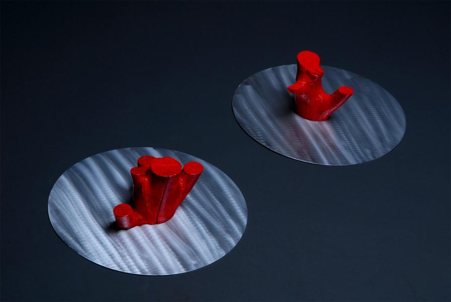 "Viveva solo per crescere"