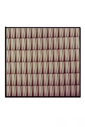 Ex n.1   collage su tavola  95x96    2004