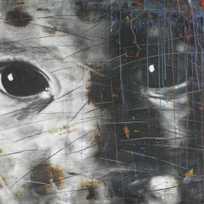 Lo sguardo che oltrepassa le parole