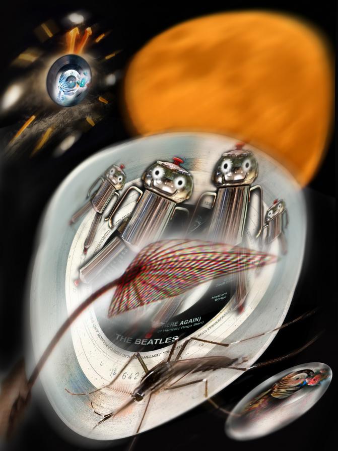 nottata in pianura padana....