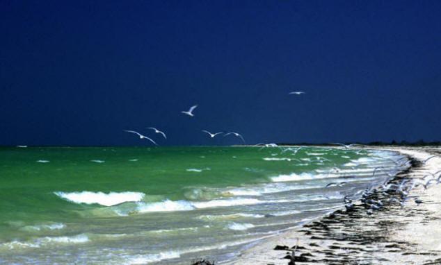 Rio Lagartos, Mexico