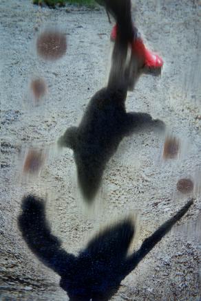 segui insegui l'amore  perchè è un sentimento universale per tutti. gli esseri umani.