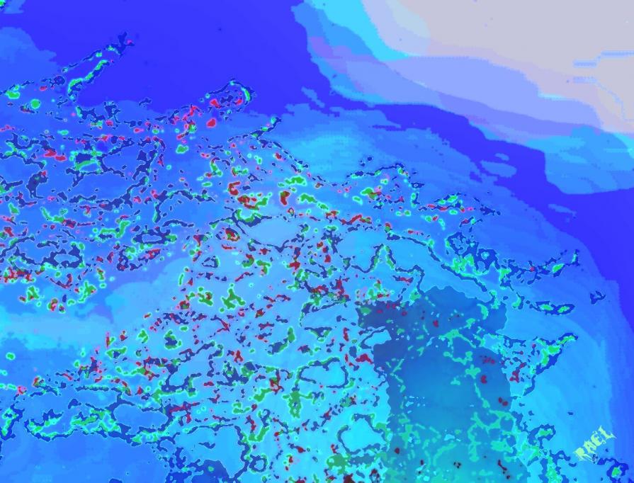 Distruzione ambientale