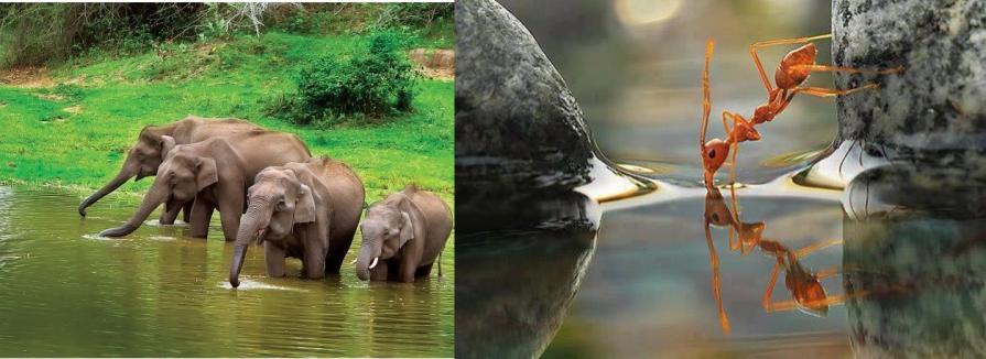 Thirst (An un explanatory feeling) Thirst (An un explanatory feeling)