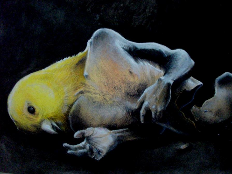 Senza titolo (particolare)