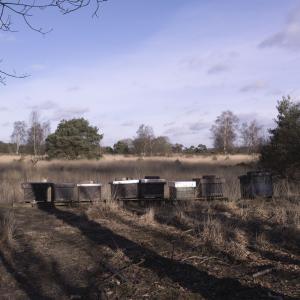 Standing strong together