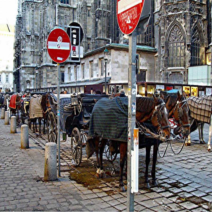 ...I VIAGGI DI TANYA (78)... 