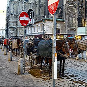 ...I VIAGGI DI TANYA (78)... 