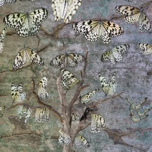 la lentezza del risveglio la lentezza del risveglio