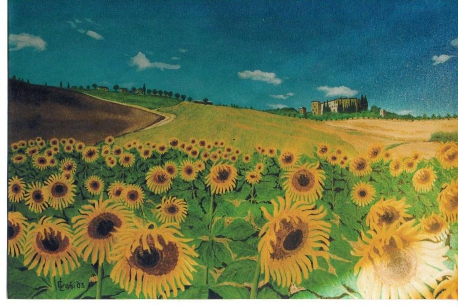 LG 0114 - Colori di Toscana