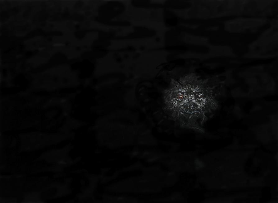 'Life on earth is disappearing fast for our closest relative'