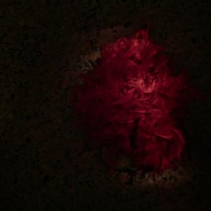 Träume sind Schäume (Reliving) Träume sind Schäume (Reliving)