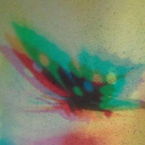 I COLORI DELLA BIODIVERSITÀ