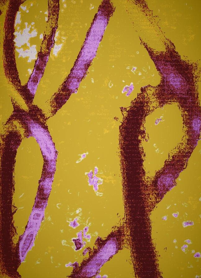 Cromosomi Virtuali che Camminano