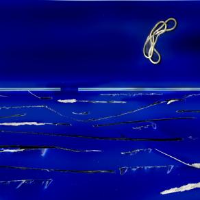 elasticocromia notturna increspata.