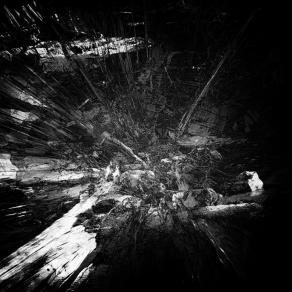 La disperazione costruttiva  - Constructive desperation -