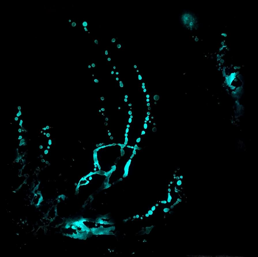 Aqua lumen crystal 30x30 anno 2020 al buio