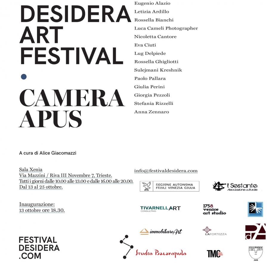 Letizia Ardillo- Le forme della conoscenza-DeSidera 2021 Festival organizzato dall'Associazione Culturale il Sestante, con la partecipazione della galleria d'arte Tivarnella Art Consulting e in mostra dal 13 al 25 ottobre 2021 nella Sala Xenia di Via Mazz