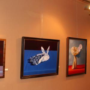 Natura:Luci e Ombre a Modena.