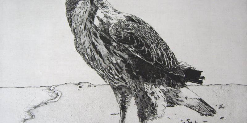 Luana Raia al Premio Ambiente 2011