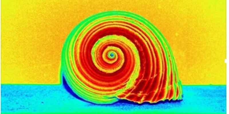 Officina delle Energie